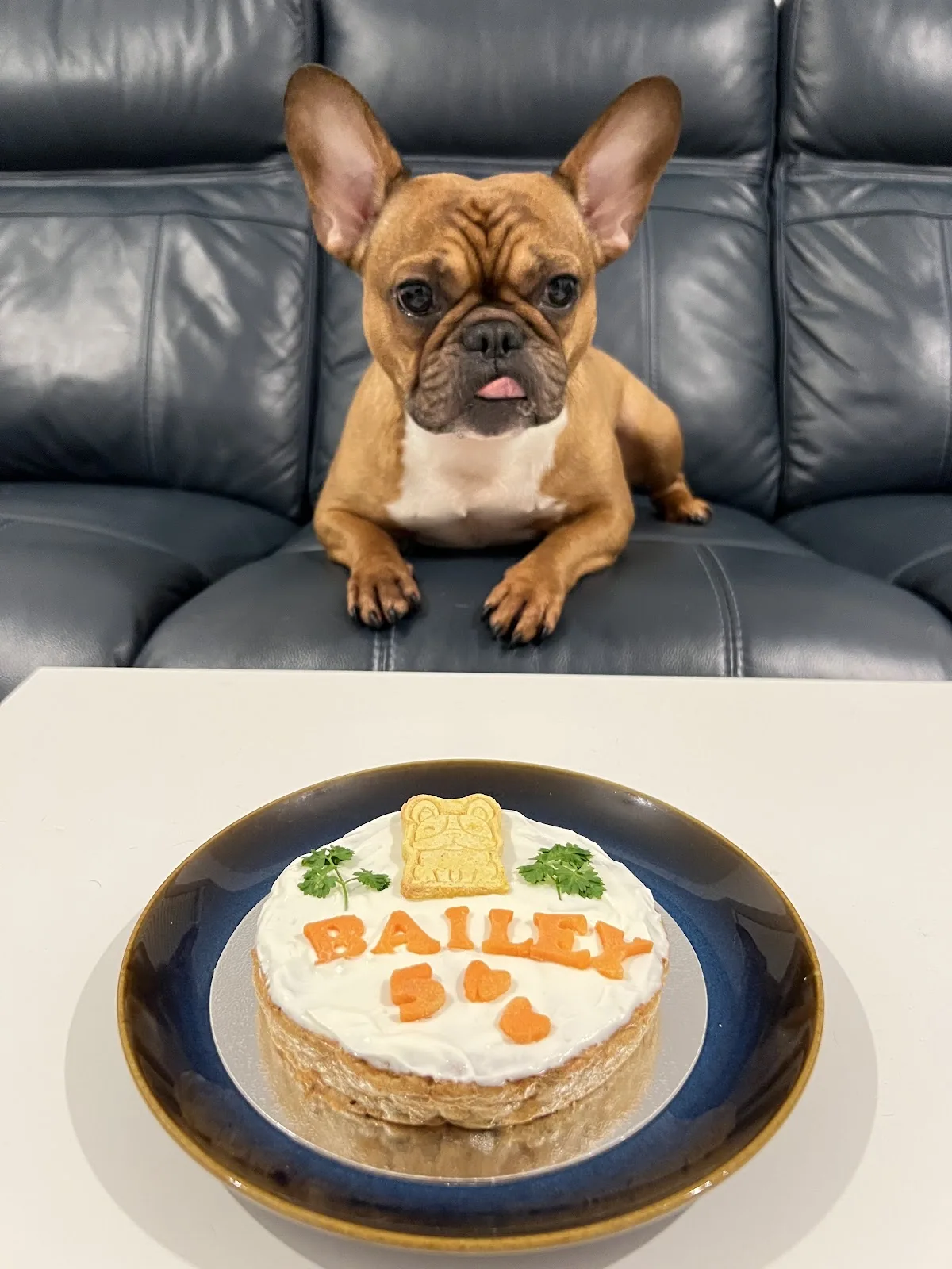 Cakes at Goldie Pets Party Bakery & Supply Ltd